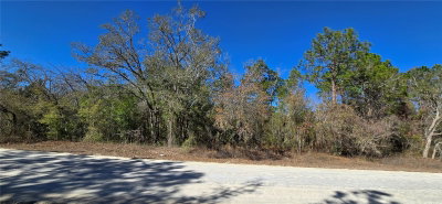 13231 ROAD RUNNER Avenue, Weeki Wachee, FL, 34614 — photo 2