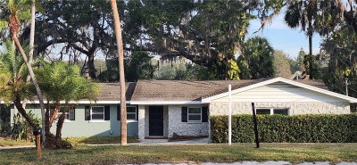3606 RIVER GROVE Drive, Tampa, FL, 33610 — photo 2