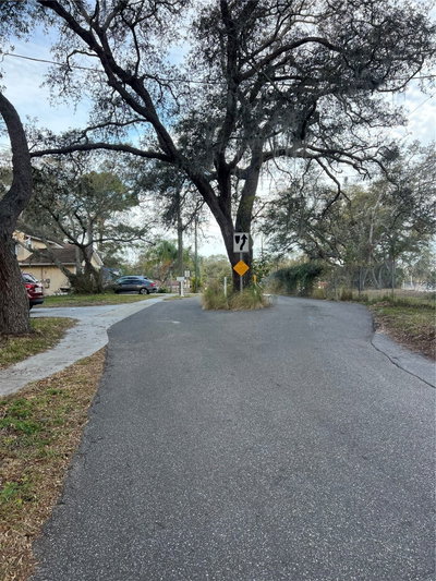 FORDE Avenue, Tarpon Springs, FL, 34689 — photo 2
