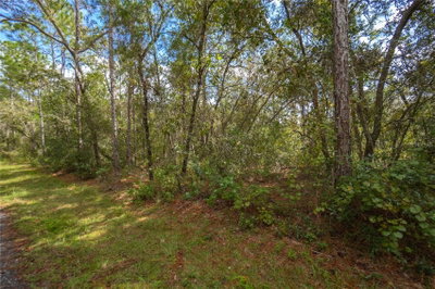 3210 MICHAEL Street, Inverness, FL, 34453 — photo 2