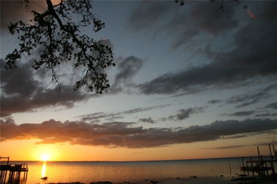 000 BLUFF Boulevard, Holiday, FL, 34691 — photo 2