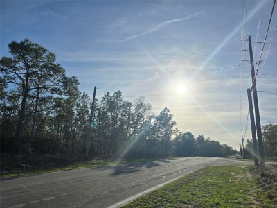 13070 QUIGLEY Avenue, Weeki Wachee, FL, 34614 — photo 2