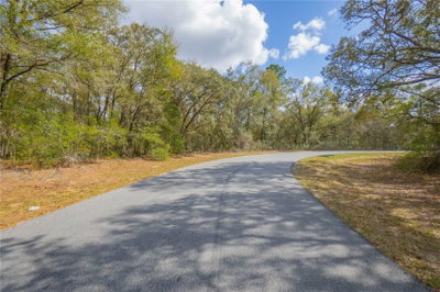 8743 SANDREE Drive, Citrus Springs, FL, 34434 — photo 2