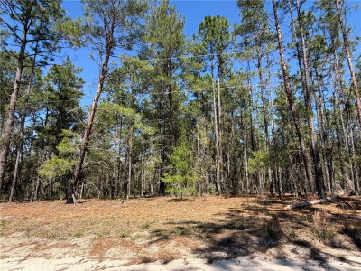 00000 58TH PLACE, Morriston, FL, 32668 — photo 2