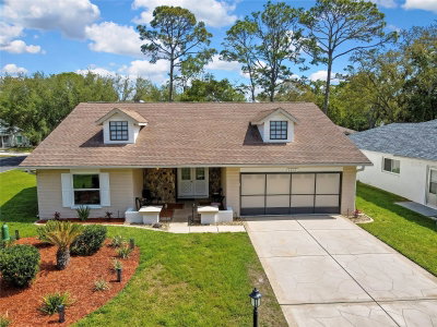 6433 LOST TREE Lane, Spring Hill, FL, 34606 — photo 2
