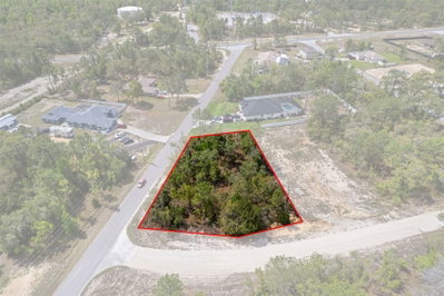 12140 MISSISSIPPI KITE Avenue, Brooksville, FL, 34614 — photo 2