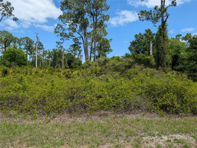 784 WASHINGTON Boulevard, Lake Placid, FL, 33852 — photo 2