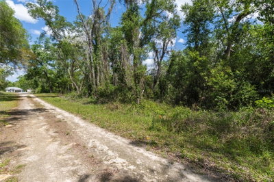 KENYON Drive, Webster, FL, 33597 — photo 2