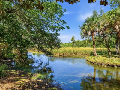 8979 WHITE DOGWOOD Drive, Homosassa, FL, 34448 — photo 2