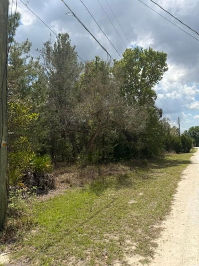 BASTIAN Court, Weeki Wachee, FL, 34613 — photo 2
