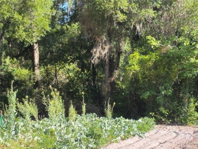 00 COUNTY ROAD 213, Wildwood, FL, 34785 — photo 2