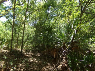 KNOXVILLE Drive, Webster, FL, 33597 — photo 2