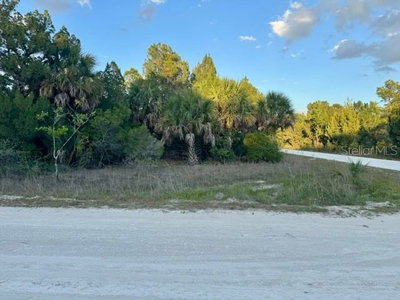 RAPIDAN Road, Weeki Wachee, FL, 34614 — photo 2