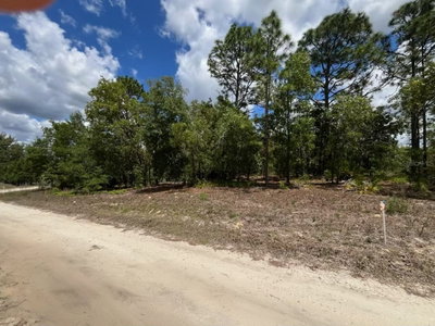 3726 SPOON WOOD Court, Dunnellon, FL, 34433 — photo 2
