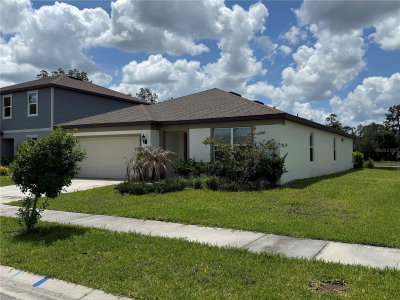 30596 THUNDERBIRD Drive, Wesley Chapel, FL, 33545 — photo 2