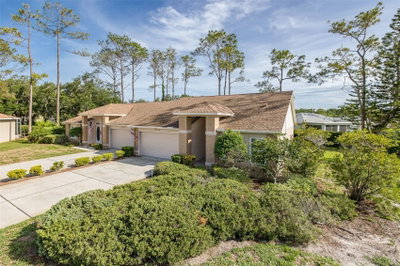 9519 SCENIC PINE Court, New Port Richey, FL, 34655 — photo 2