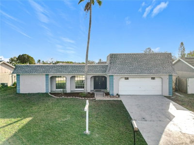 3640 RICHBORO Drive, Holiday, FL, 34691 — photo 2