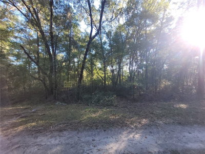 22ND Place, Ocala, FL, 34481 — photo 2