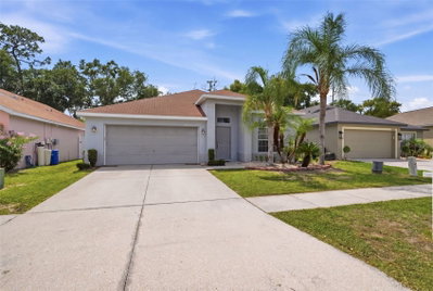 34507 SMART Drive, Zephyrhills, FL, 33541 — photo 2