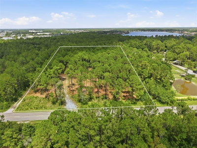 ALTAMONT Lane, Odessa, FL, 33556 — photo 2