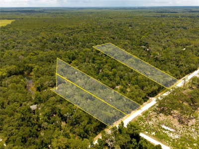 7333 RIVERVIEW Drive, Webster, FL, 33597 — photo 2