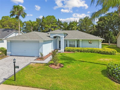 10919 TRELAIN Way, Hudson, FL, 34667 — photo 2