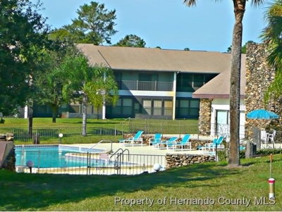 6460 RIVER RUN Boulevard, Weeki Wachee, FL, 34607 — photo 2