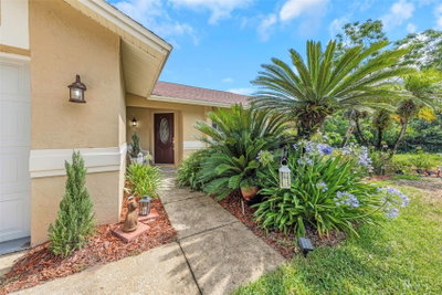 2437 HAWK Avenue, Palm Harbor, FL, 34683 — photo 2