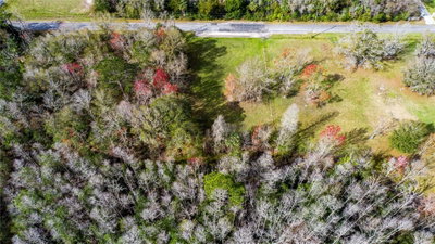 4925 MORNINGSIDE Terrace, Homosassa, FL, 34446 — photo 2