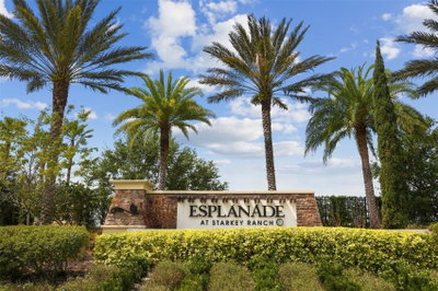 11503 CALLISIA Drive, Odessa, FL, 33556 — photo 2