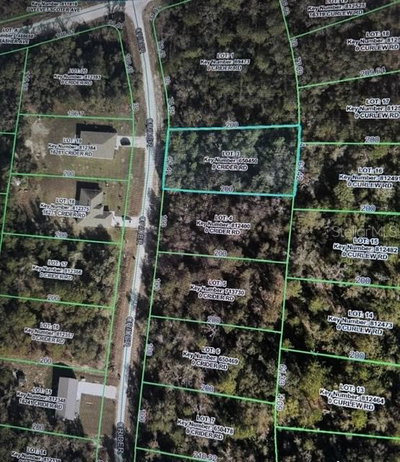 CRIDER Road, Weeki Wachee, FL, 34614 — photo 2