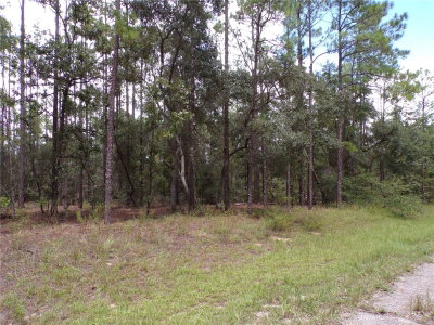601 MARQUETTE Lane, Citrus Springs, FL, 34434 — photo 2
