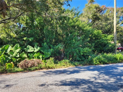00 ATIS Street, New Port Richey, FL, 34653 — photo 2