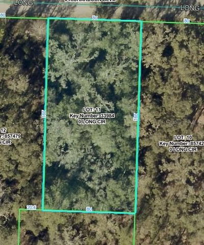 LONG Circle, Webster, FL, 33597 — photo 2