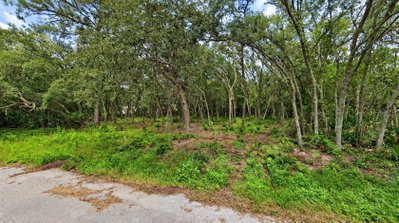 ORLAND Street, New Port Richey, FL, 34654 — photo 2