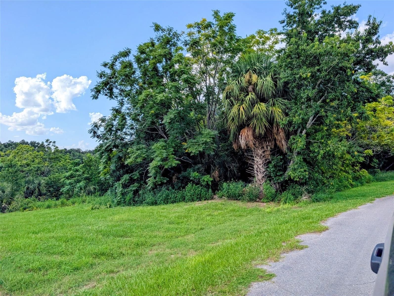 Green Briar Dr