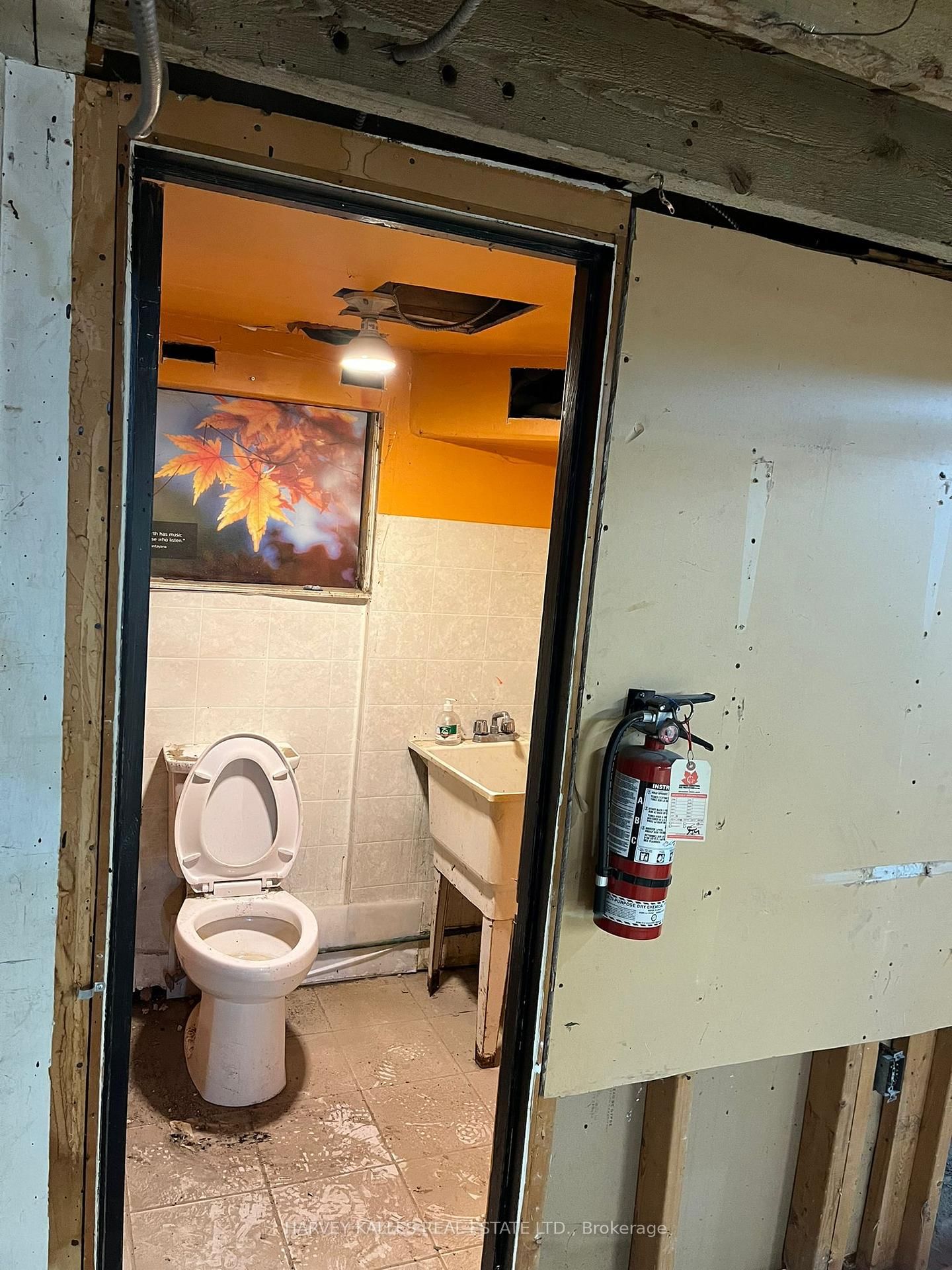 491 Bloor Street W, Unit Main - Photo 6