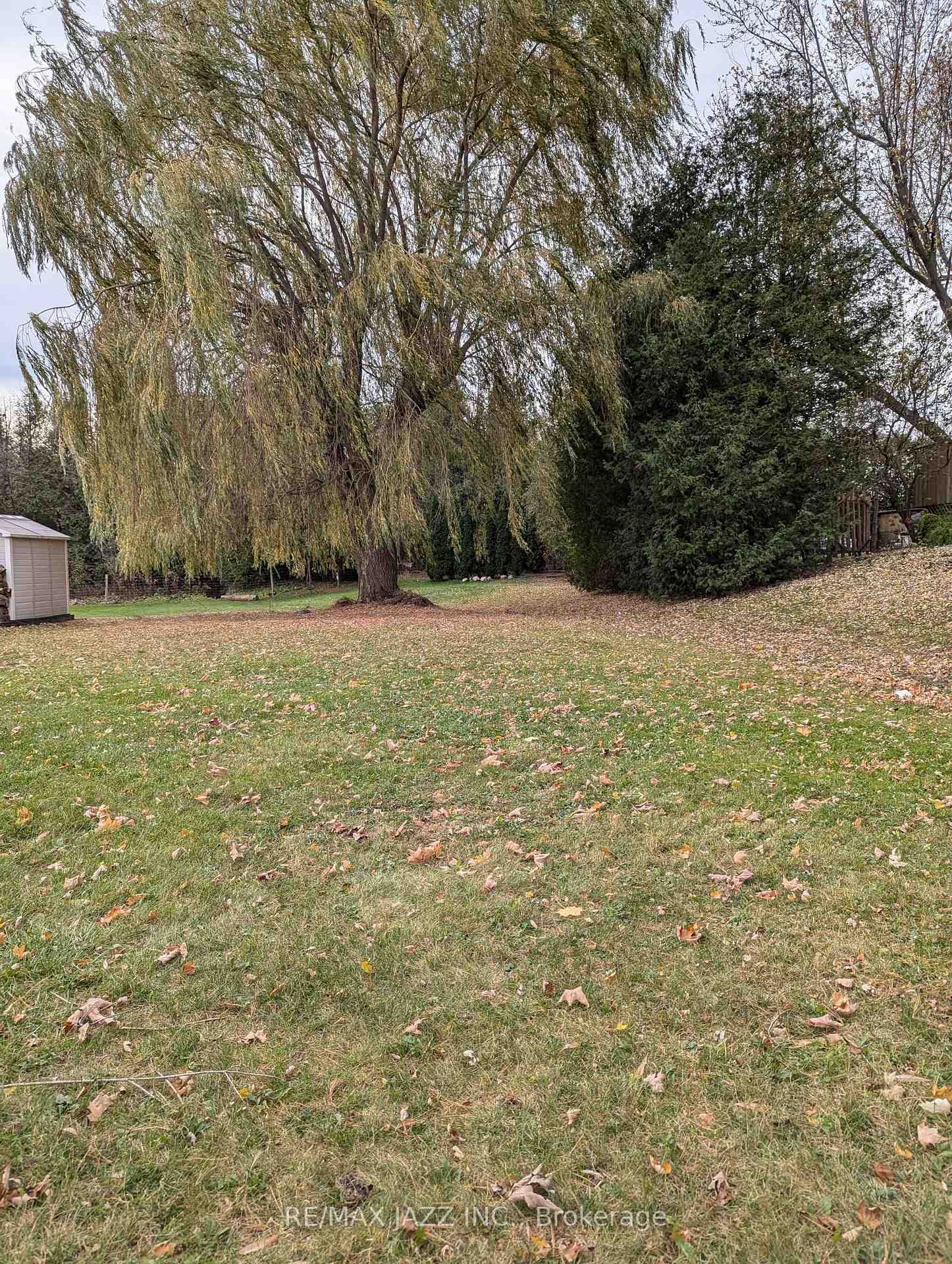Property at 396 North Scugog