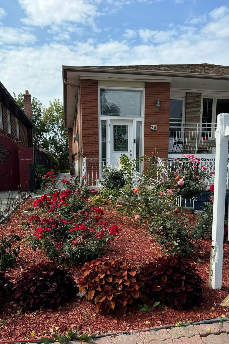 34 Petiole Road, Toronto