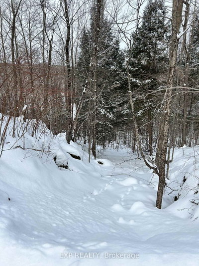 00 Upper Spruce Hedge Road — photo 2