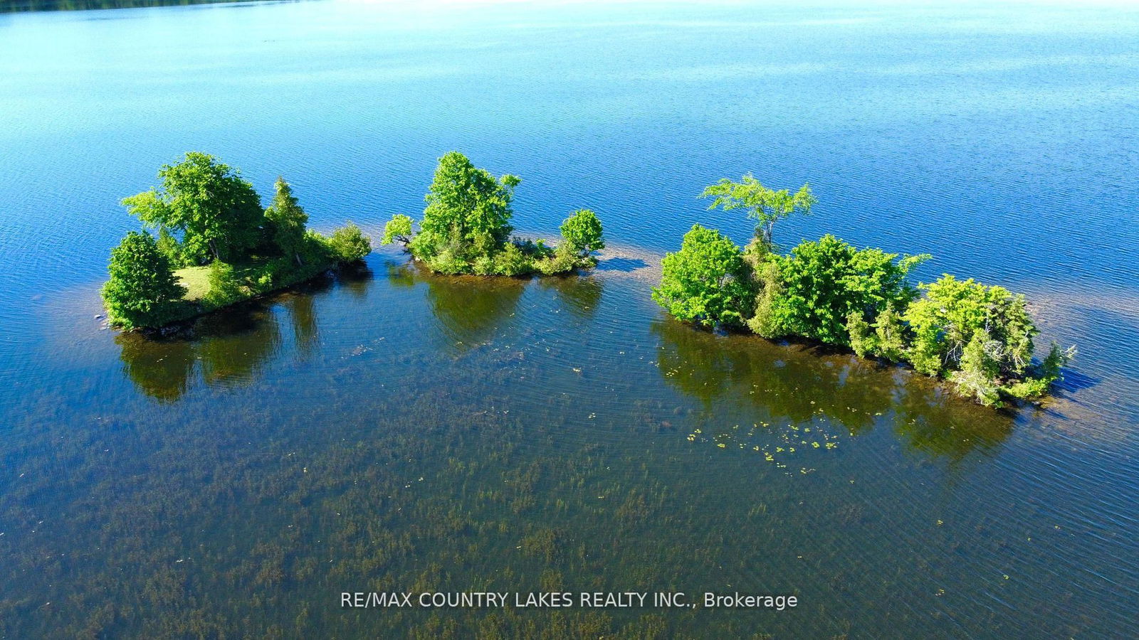 Property at Lt 1 Island