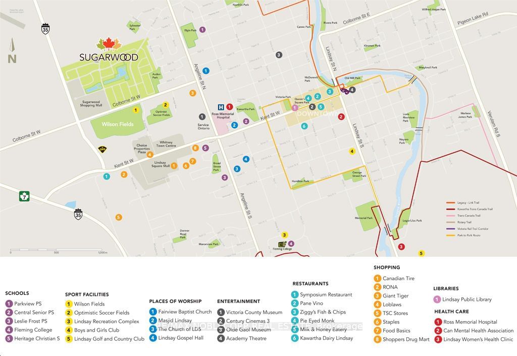 33 Keenan Street - Photo 29