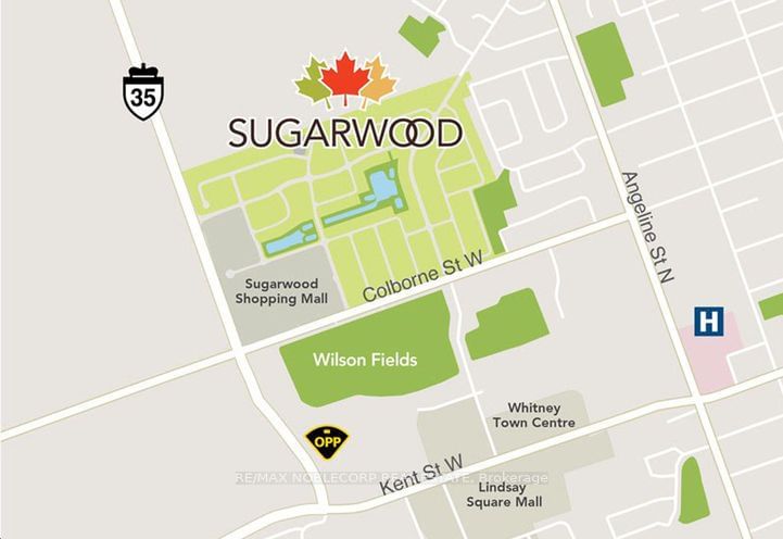 33 Keenan Street - Photo 30