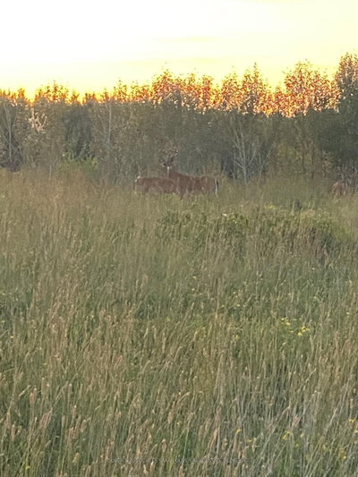 68 Deer Trail Drive — photo 3