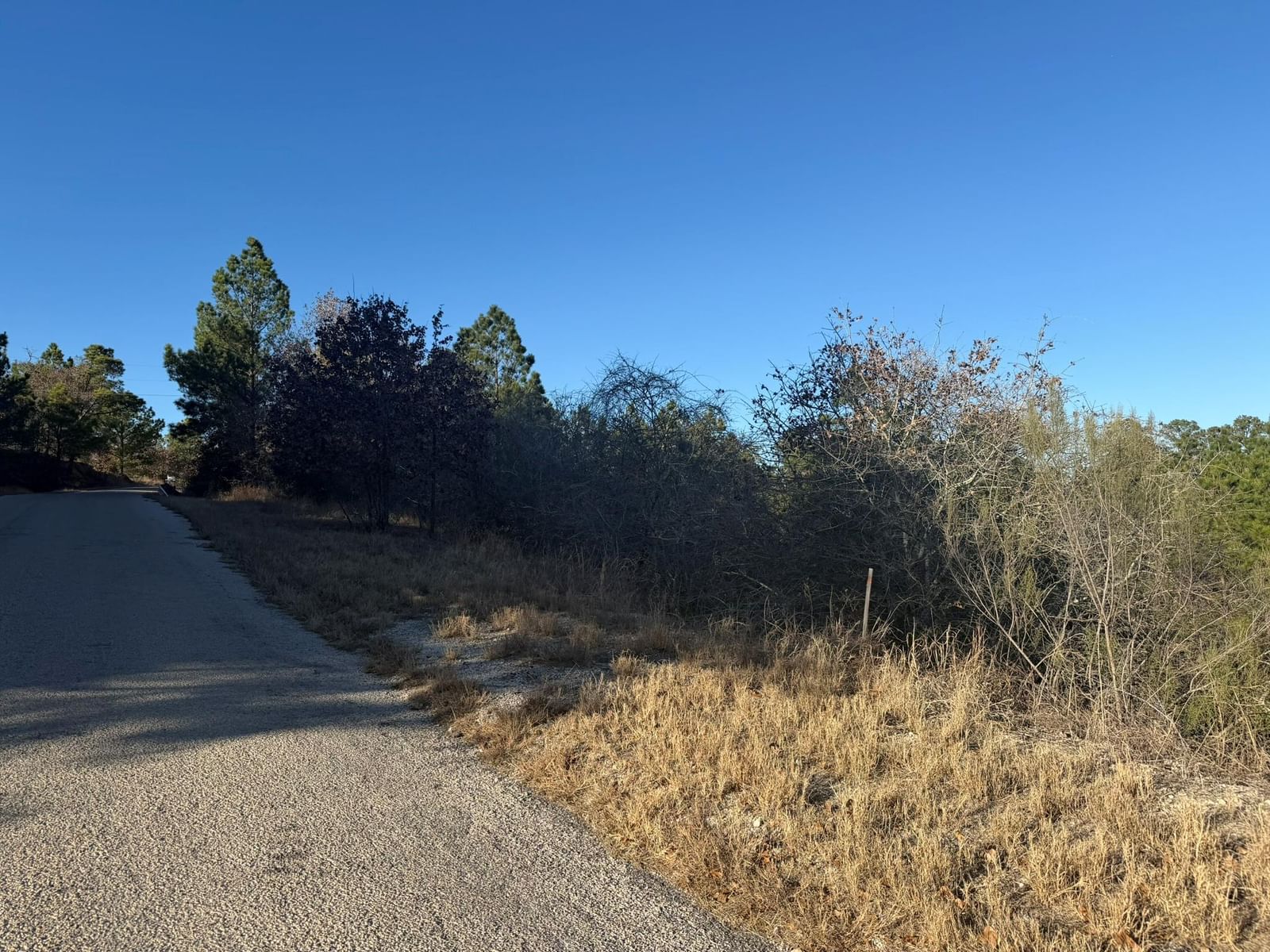 Lot 858 Mamalu DR - Photo 1