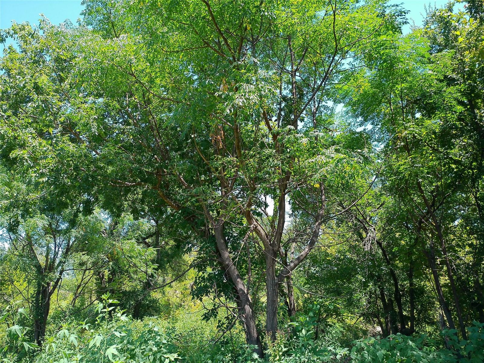 Photo 4