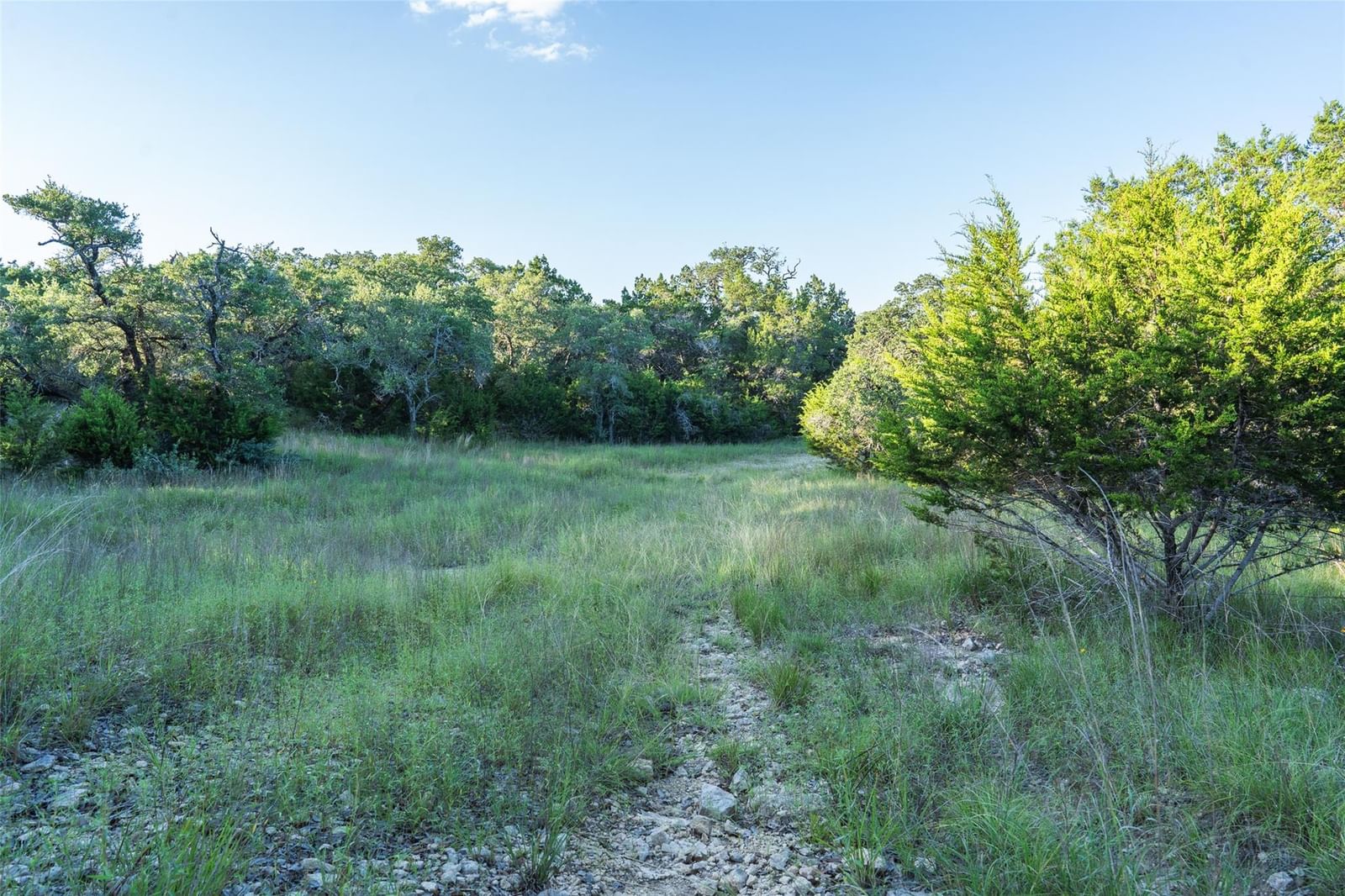 TBD B Crabapple RD - Photo 1