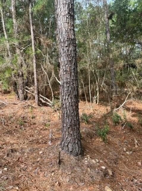 Lot 345 Wainee DR - Photo 1
