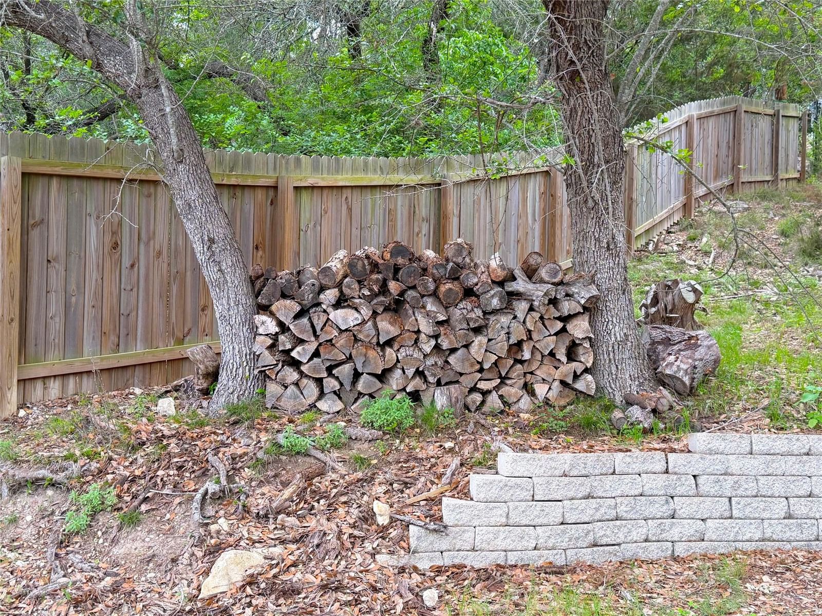 Photo 25