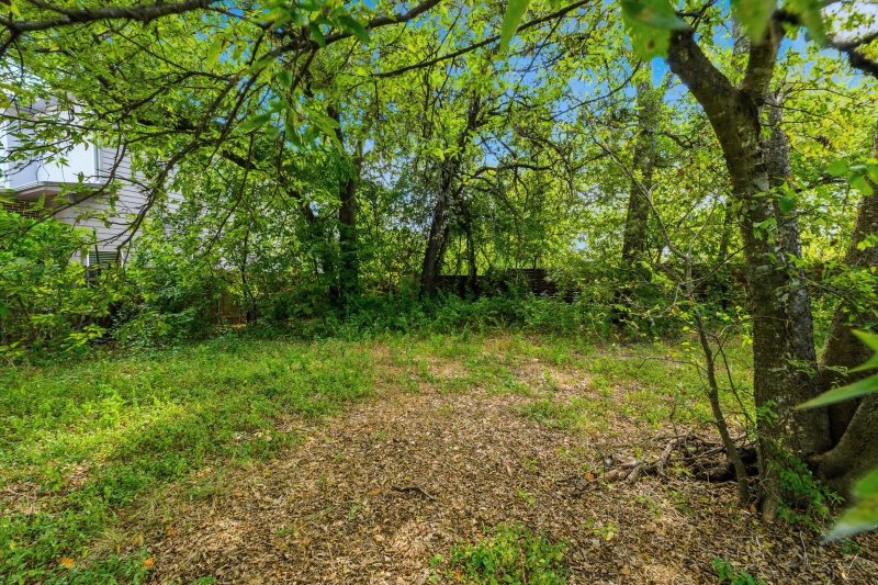 Property photo 19